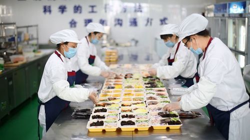 家庭食材供应站 互联网销售模式分析